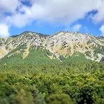 Cosy Et Lumineux A Alpes *