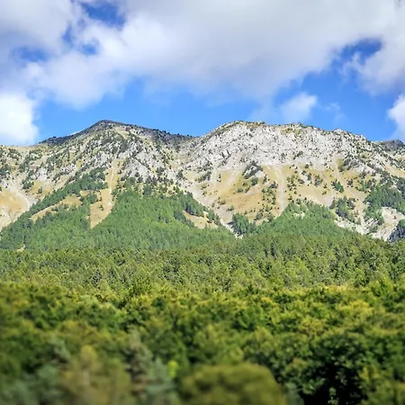 Cosy Et Lumineux A Alpes *